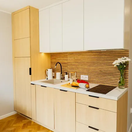 Apartment With Ac, Projector, Loggia, Palace View By Polandbnb *