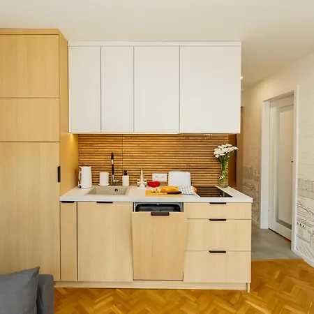 Apartment With Ac, Projector, Loggia, Palace View By Polandbnb